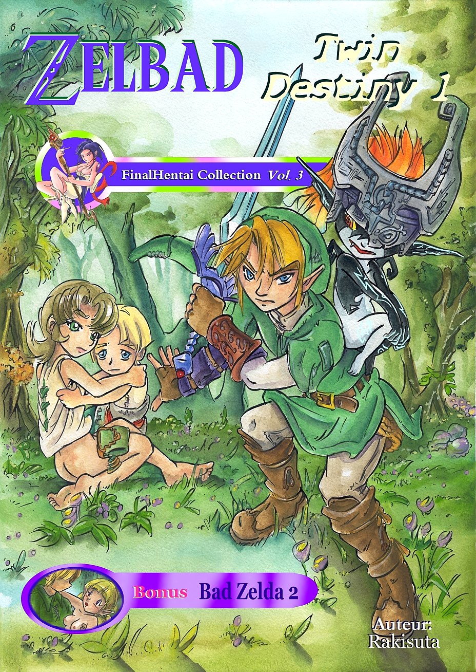 Zelda Twin Destiny page 2 full