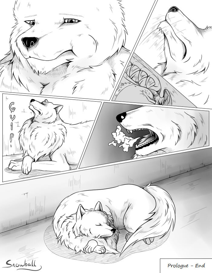 Schwarzpelz  + Extras page 8 full
