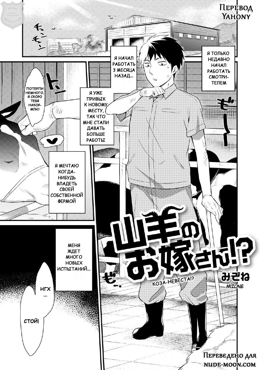 Yagi no Oyomesan!? | Коза-невеста!? page 1 full