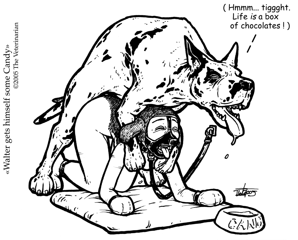 Artist Gallery - The Veterinarian page 10 full