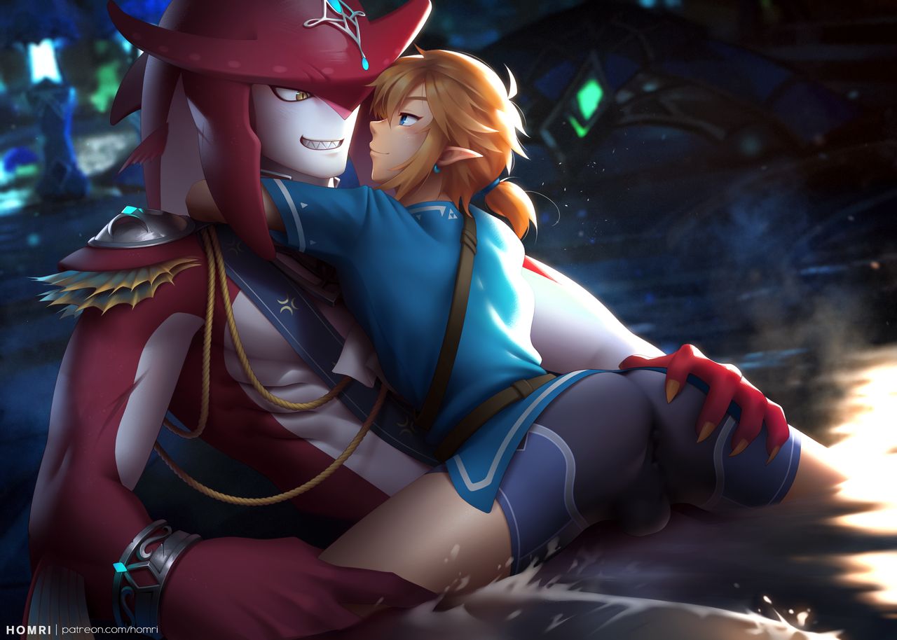 Link and Sidon Prince page 1 full
