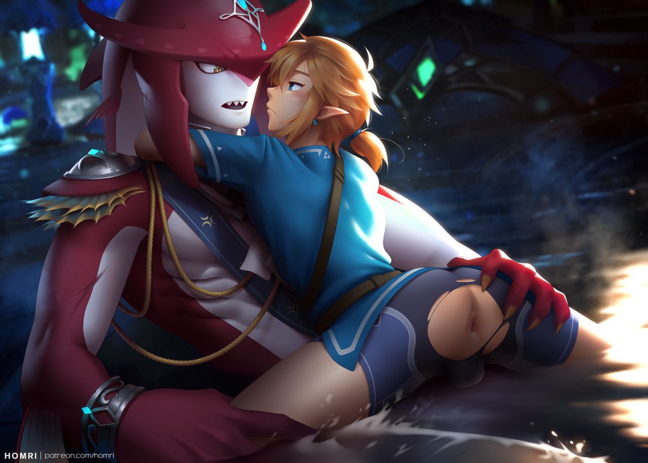 Link and Sidon Prince page 2 full