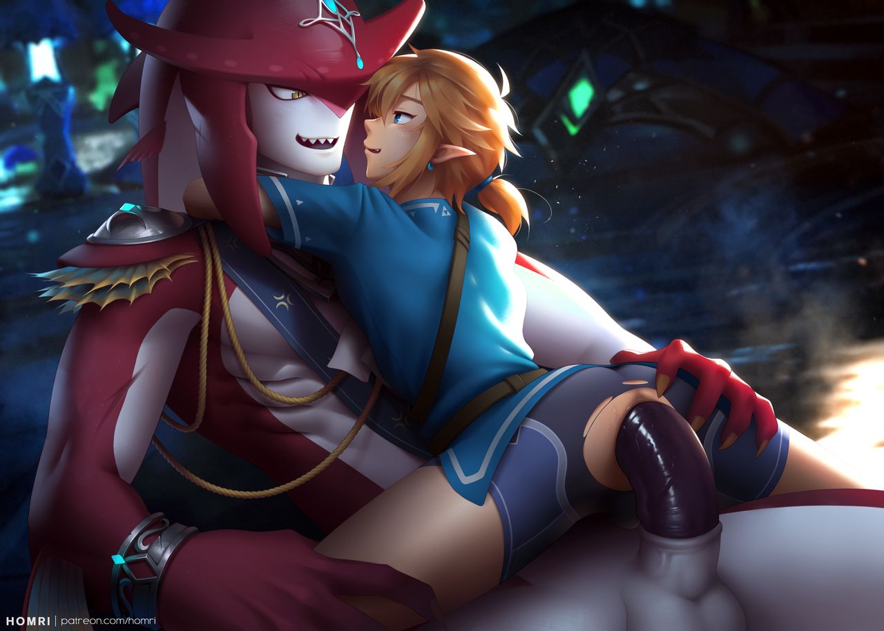 Link and Sidon Prince page 6 full