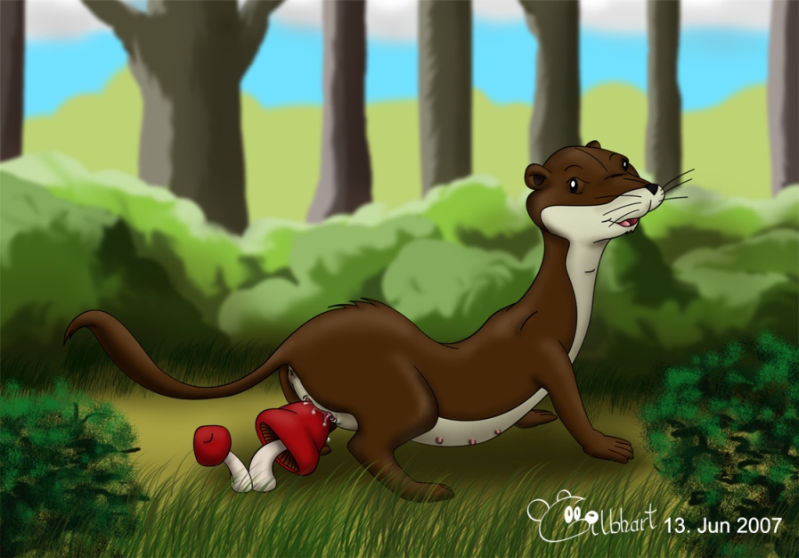 The Animals of Farthing Wood page 1 full