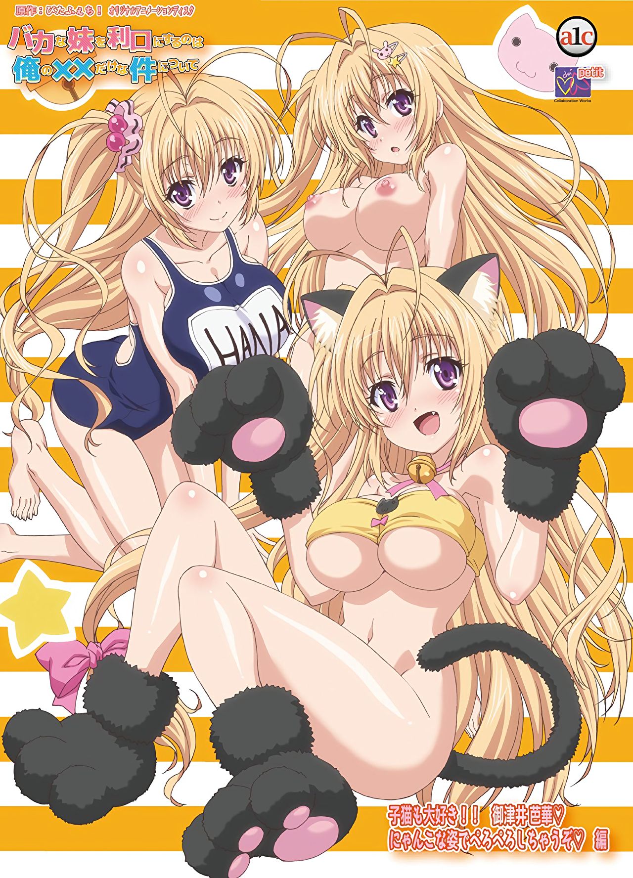 Hentai Animation Front Covers page 3 full