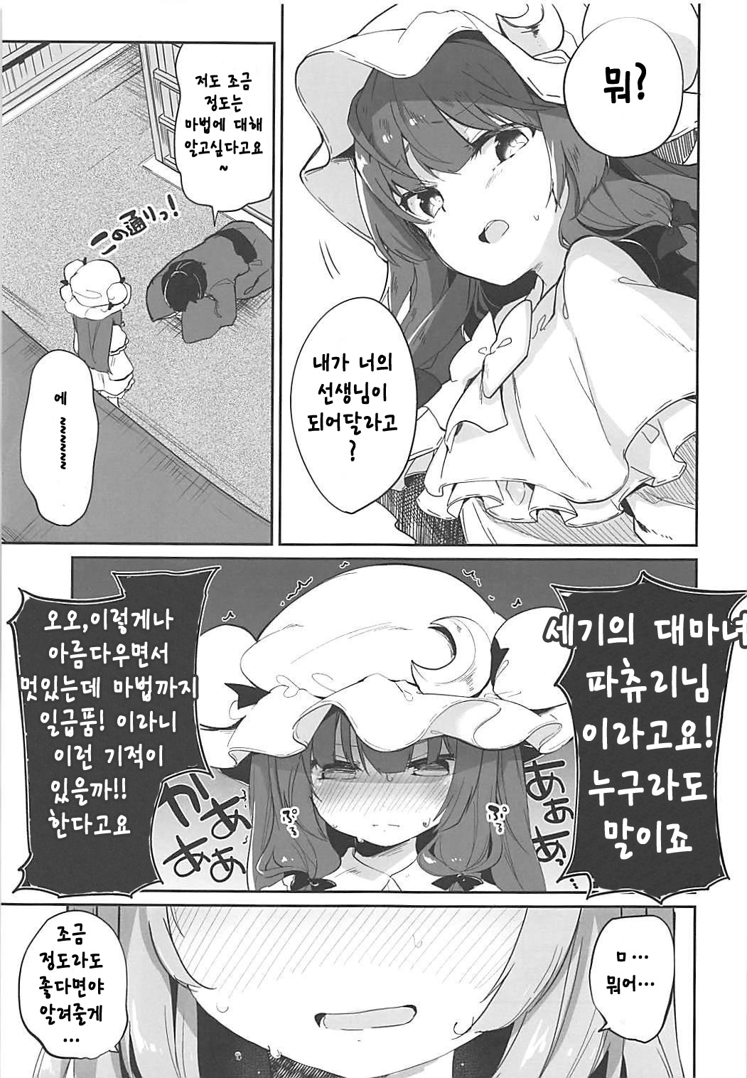 Patchouli Sensei ga Oshiete Kureru | 파츄리 선생님 가르쳐주세요 page 3 full