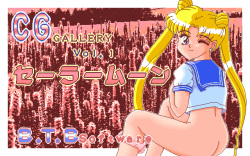 CG Gallery Vol. 1 - Sailor Moon