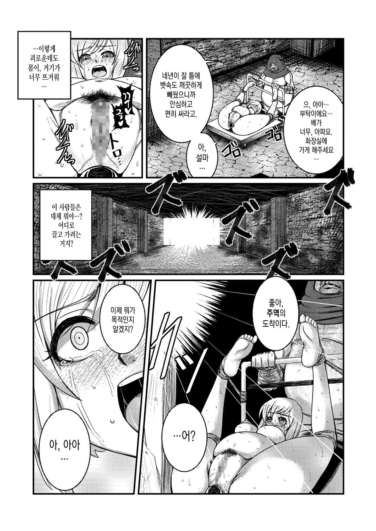 Toraware Ohime-sama page 9 full