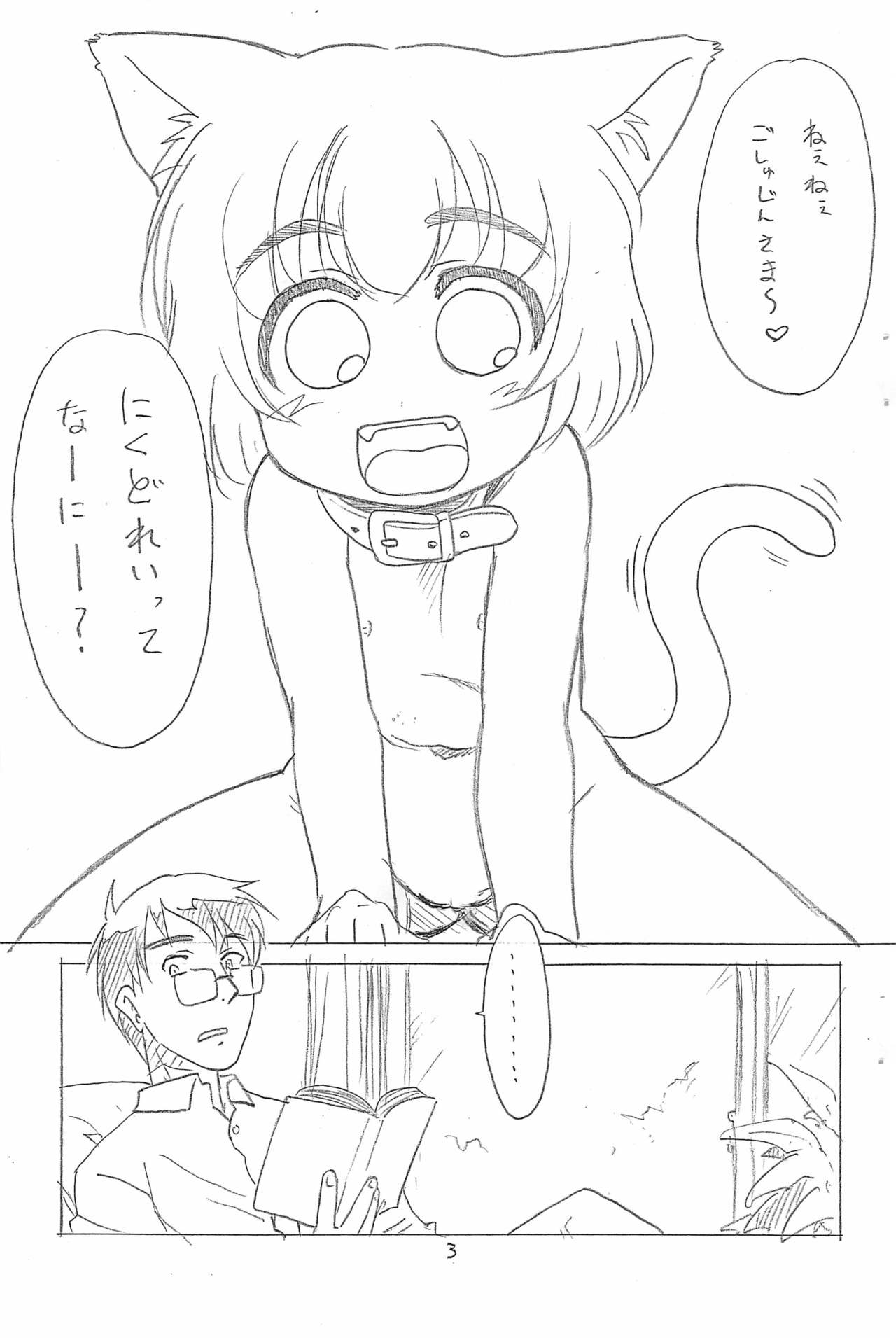 Hina to Yukai na Goshujin-sama. page 3 full