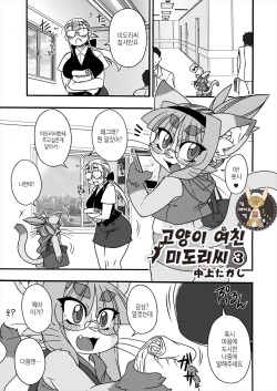 Neko Kano no Midori-san 3 | 고양이 여친 미도리씨 3