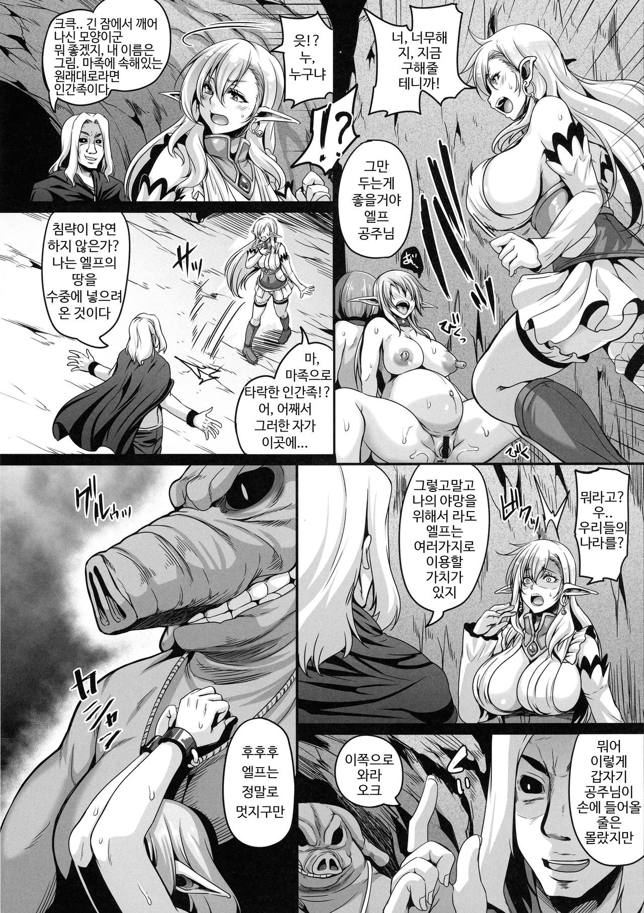 Reishuu no Elf Princess | 노예 감금 엘프 시리즈 2 - 노예 감금 엘프 프린세스 page 9 full