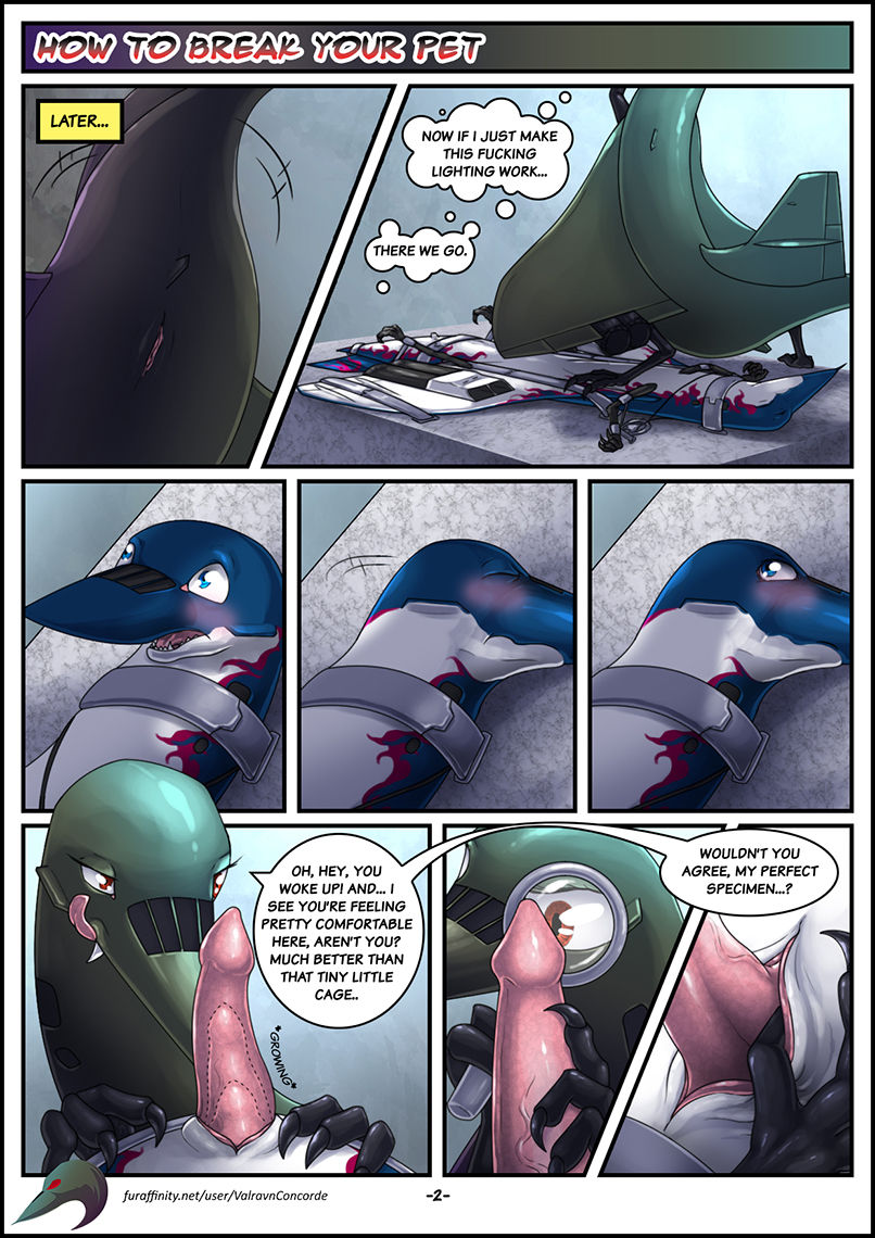 How To Break Your Pet page 2 full