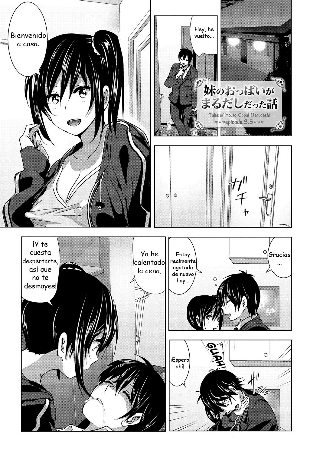 Imouto no Oppai ga Marudashi Datta Hanashi 3.5 page 3 full