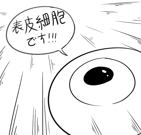 変わったところ page 3 full