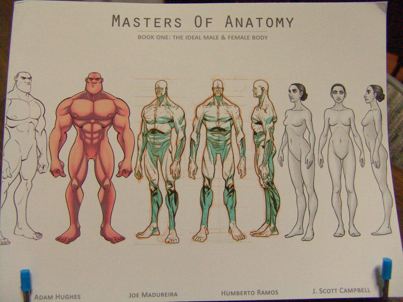 masters of anatomy page 1 full