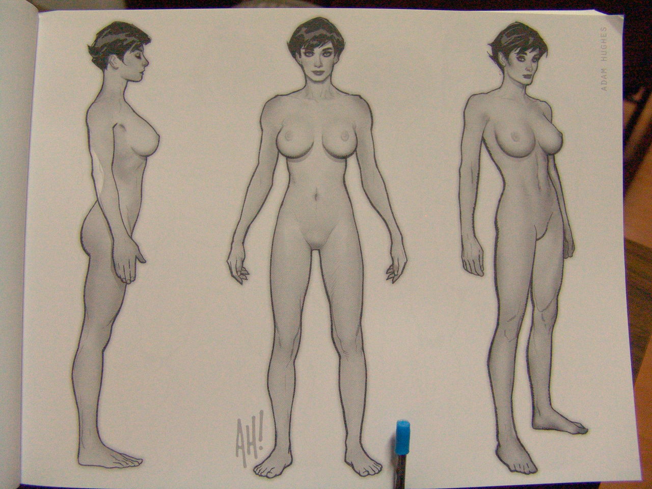 masters of anatomy page 10 full