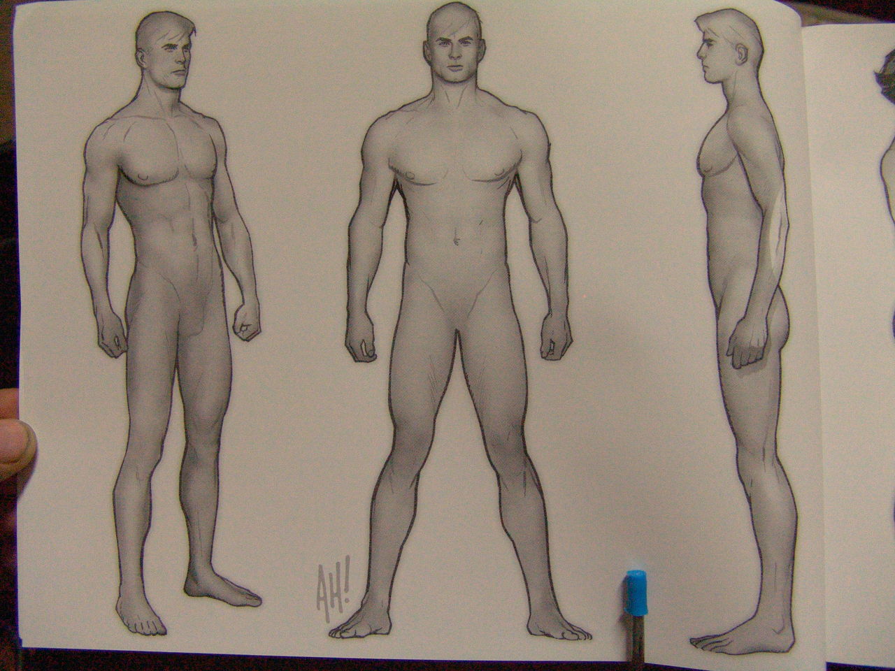 masters of anatomy page 9 full