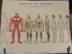 masters of anatomy