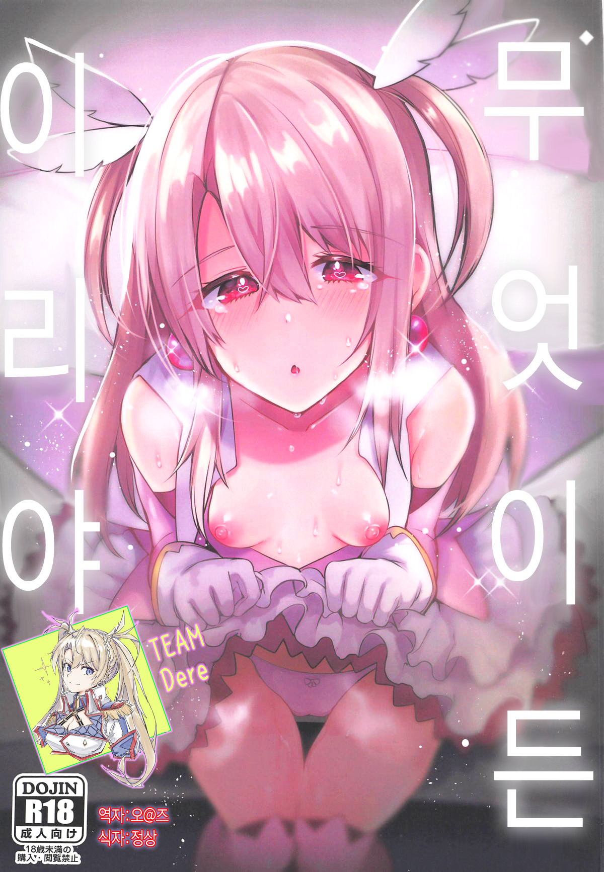 Nandemo Illya | 무엇이든 이리야 page 1 full