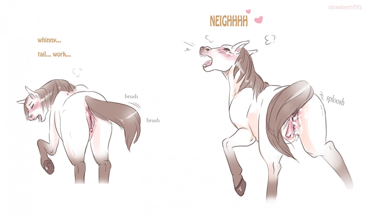 Equine Beach page 3 full