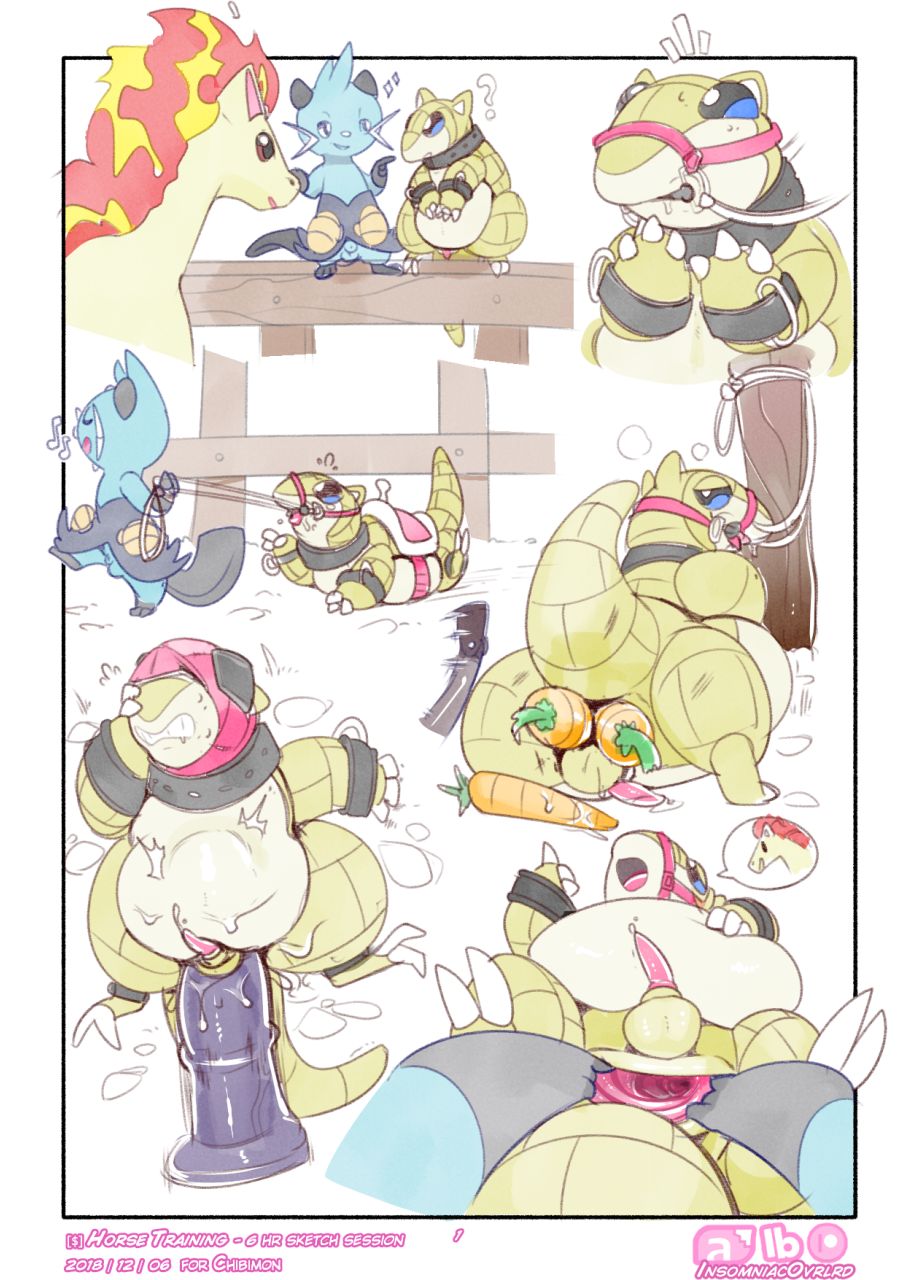 Horse Training page 1 full