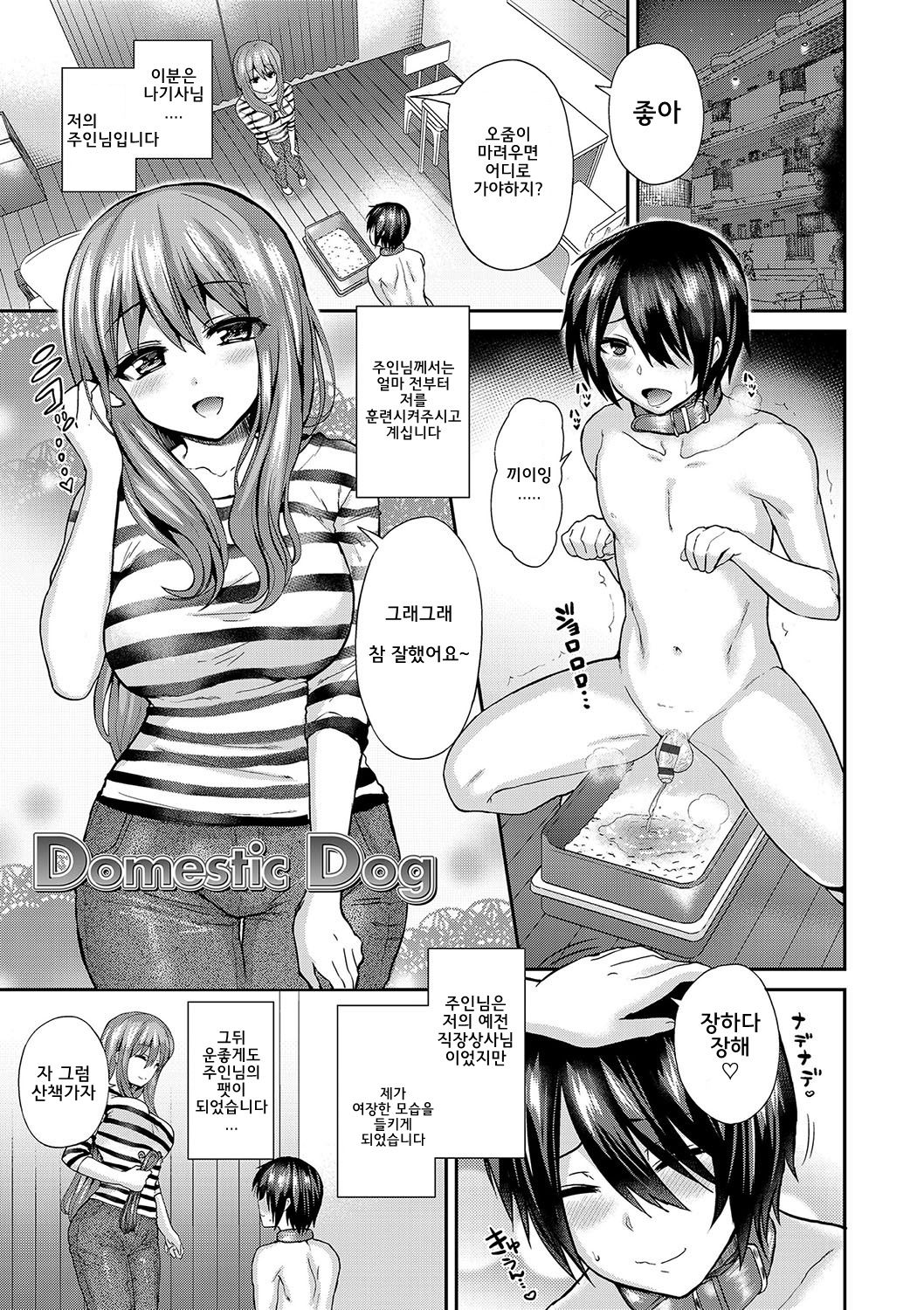 Domestic Dog page 1 full