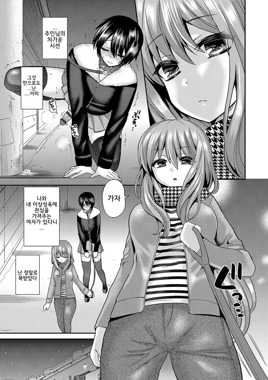 Domestic Dog page 3 full