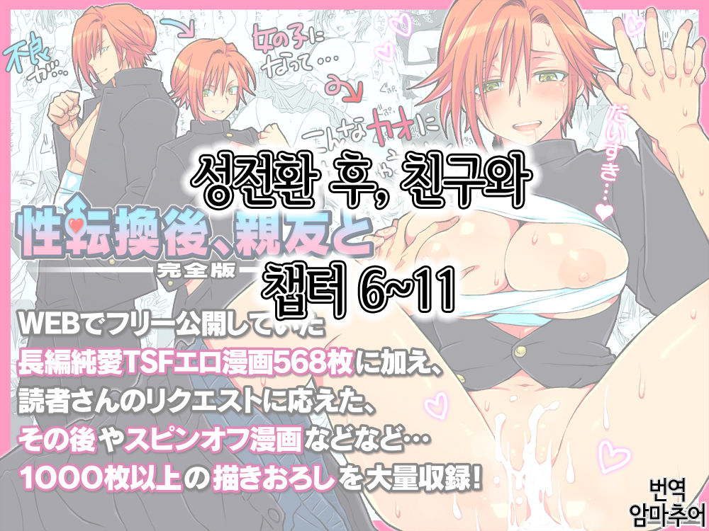 Seitenkango. Shinyuu to Ch. 6-11 page 1 full