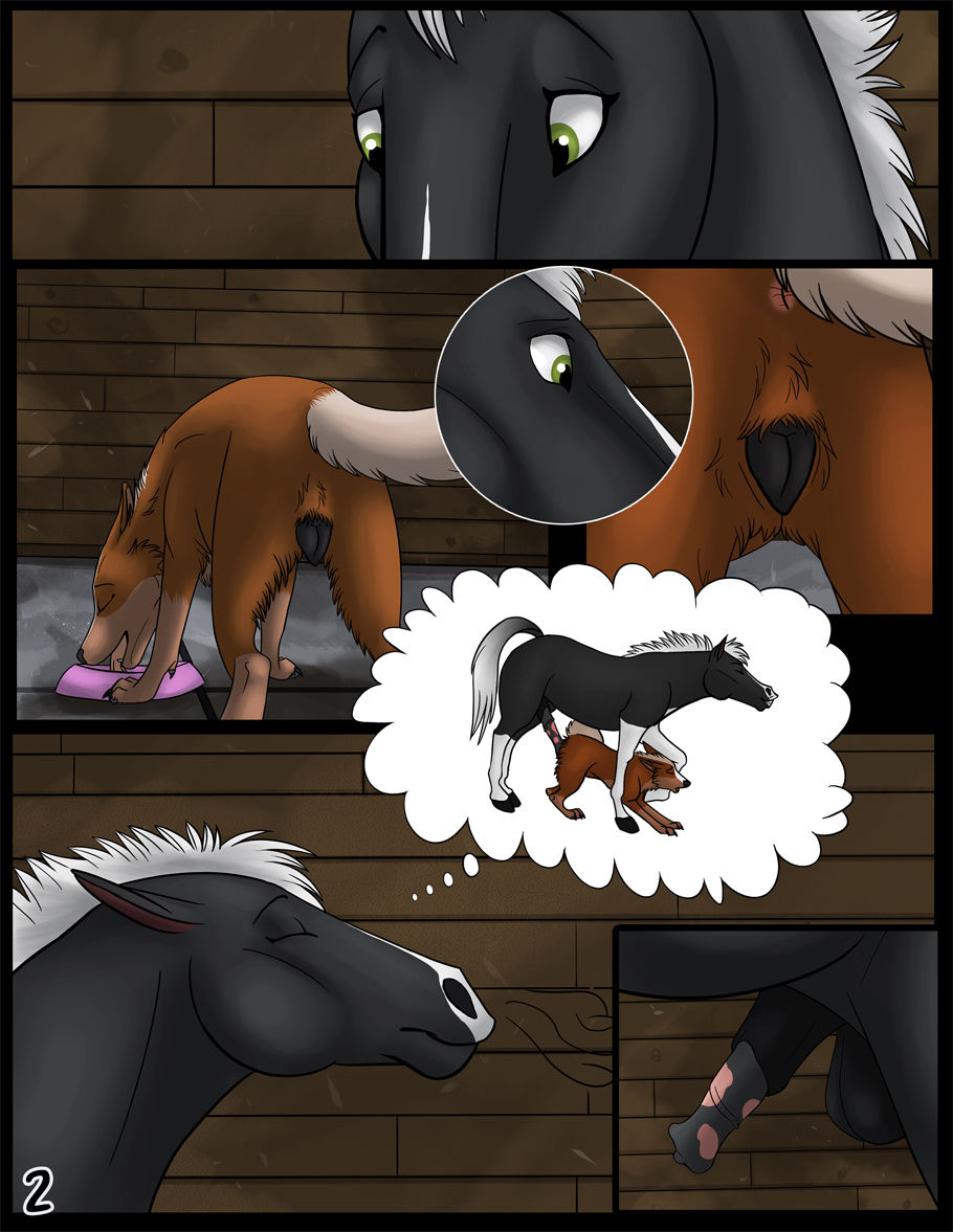 Horse Urethra Porn - Feral Couples - Stallion Delights - Page 3 - IMHentai