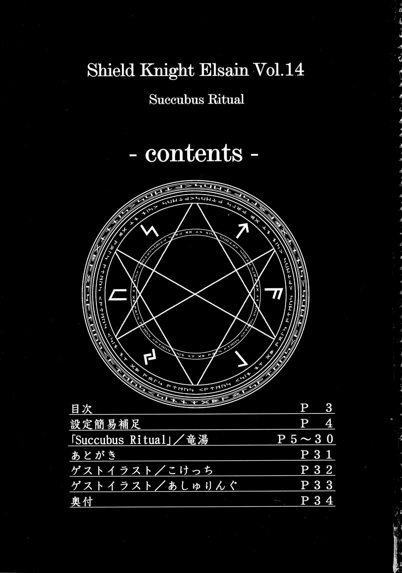 Shield Knight Elsain Vol. 14 "Succubus Ritual" page 3 full