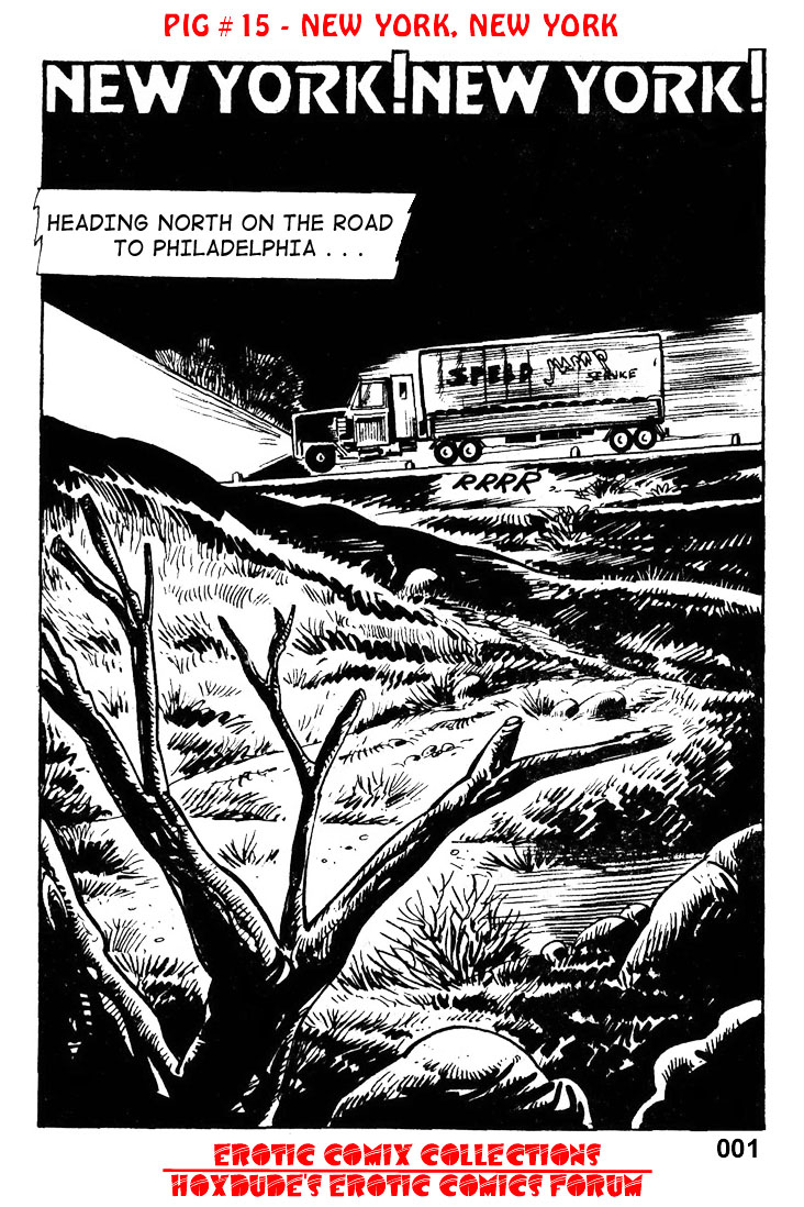 PIG #15  NEW YORK, NEW YORK - A JKSKINSFAN TRANSLATION page 3 full
