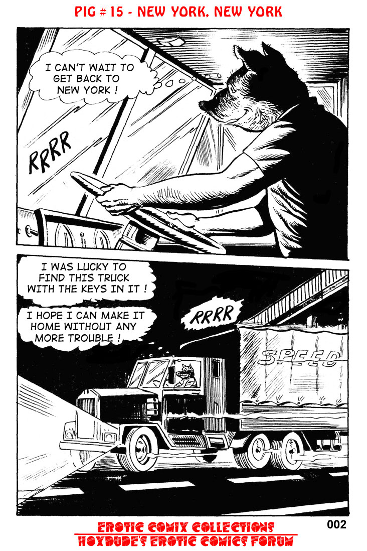 PIG #15  NEW YORK, NEW YORK - A JKSKINSFAN TRANSLATION page 4 full