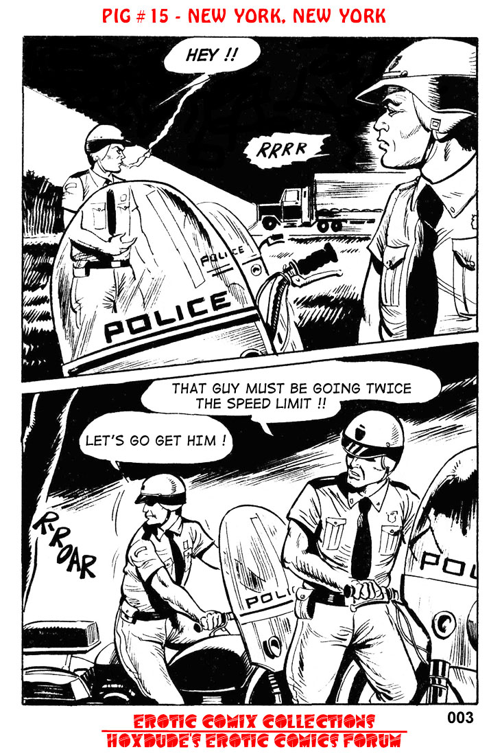 PIG #15  NEW YORK, NEW YORK - A JKSKINSFAN TRANSLATION page 5 full