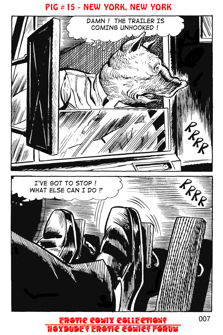 PIG #15  NEW YORK, NEW YORK - A JKSKINSFAN TRANSLATION page 9 full