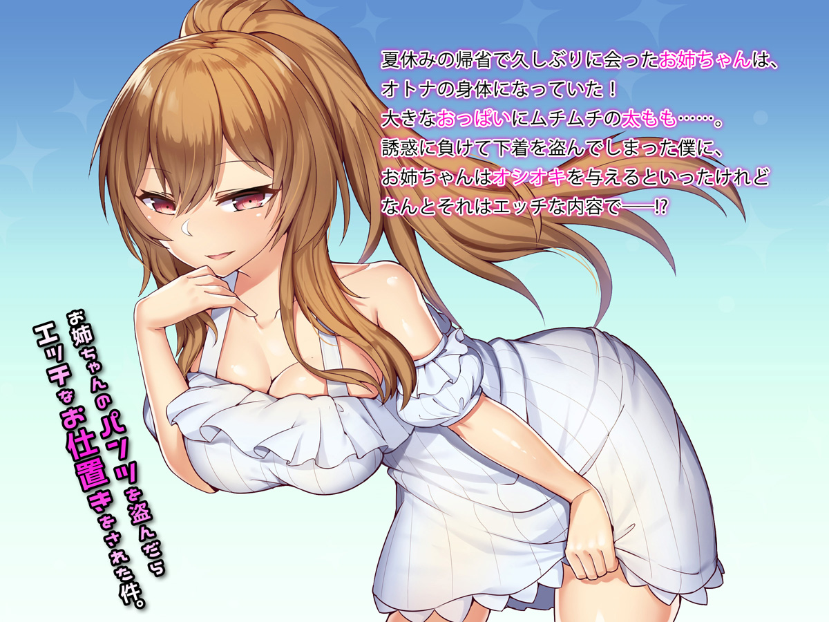 Oneechan no Pantsu wo Nusundara Ecchi na Oshioki wo Sareta Ken. page 2 full