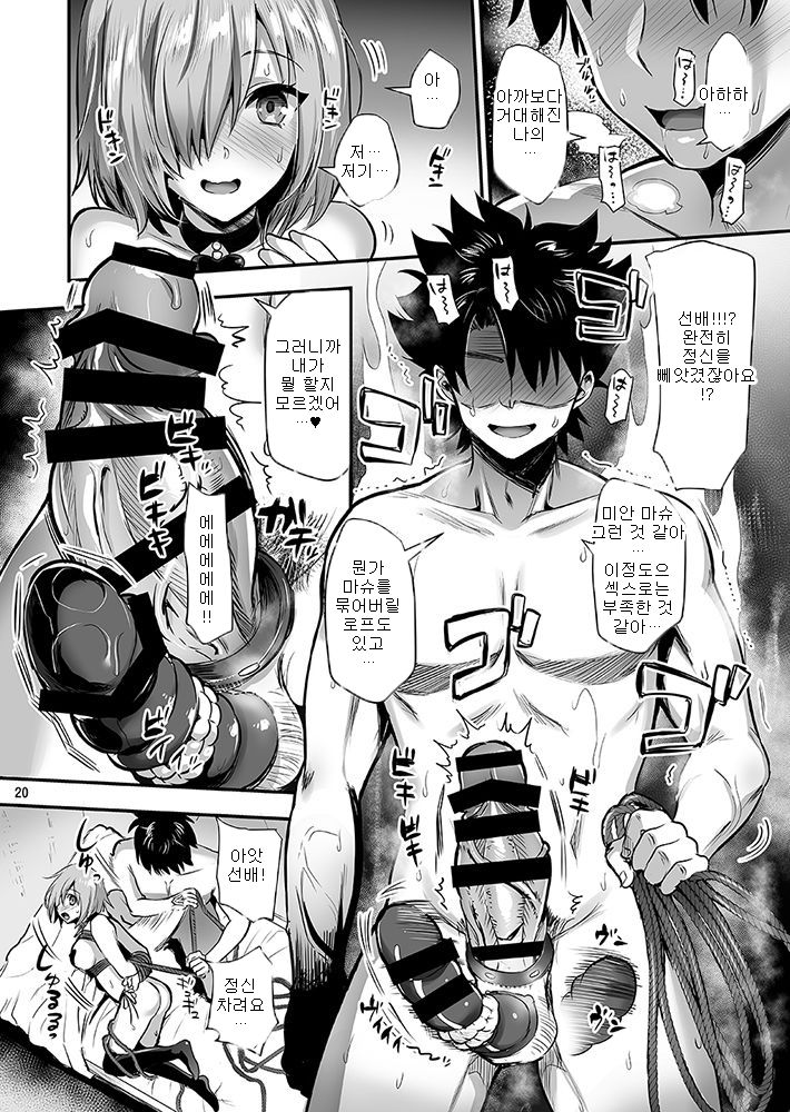 Mash Kyrielight Kizuna Level Genkai Toppa | 마슈 키리에라이트 인연 레벨 한계돌파 page 6 full