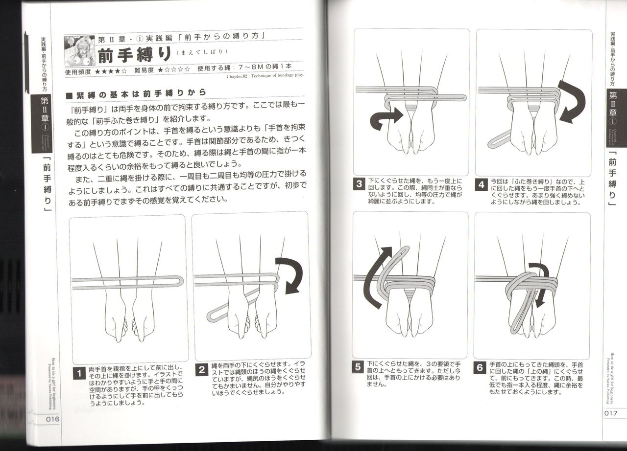 Now you can do it! Illustrated Tied How to Manual page 9 full