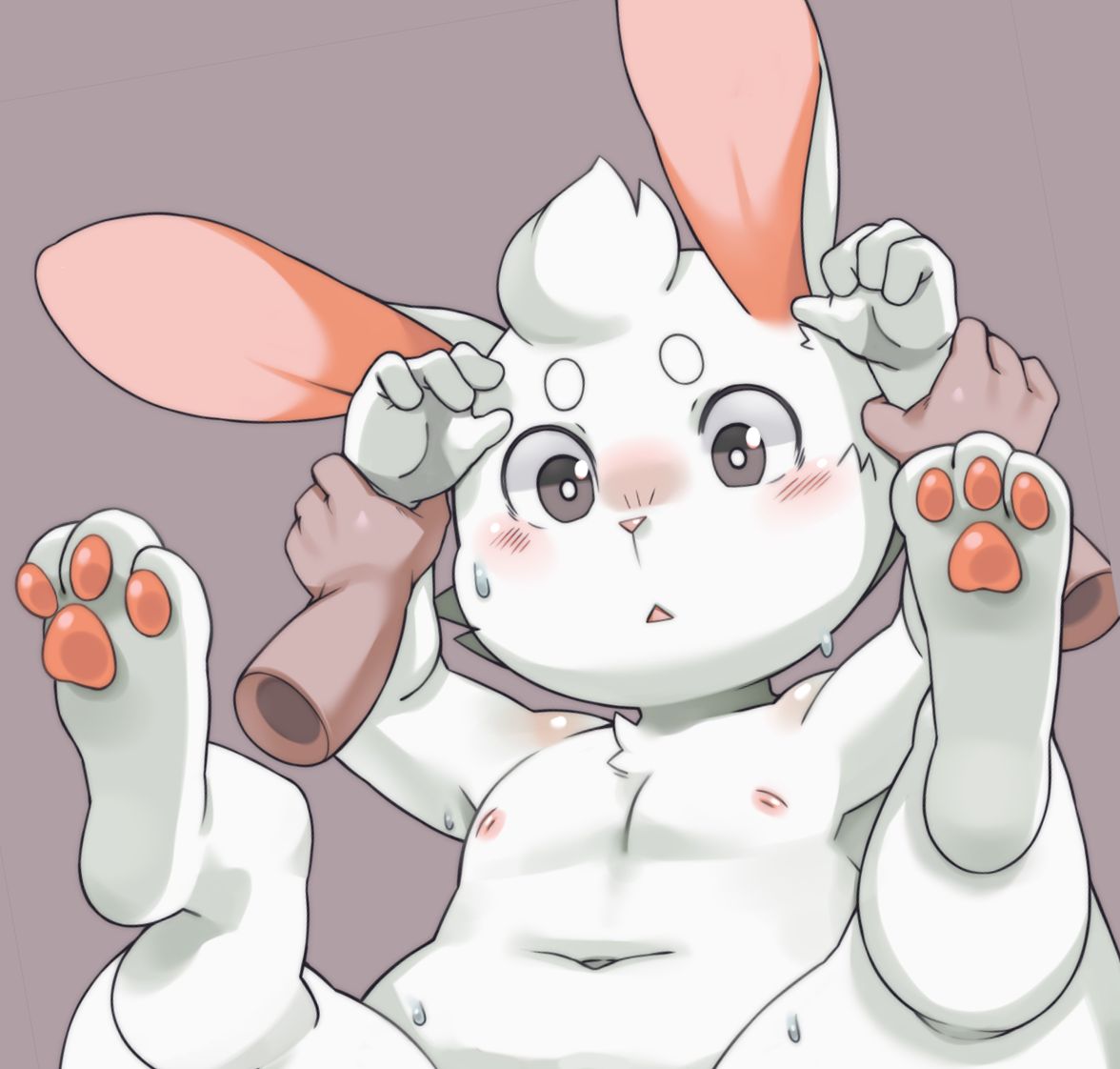Artist - Exige page 1 full