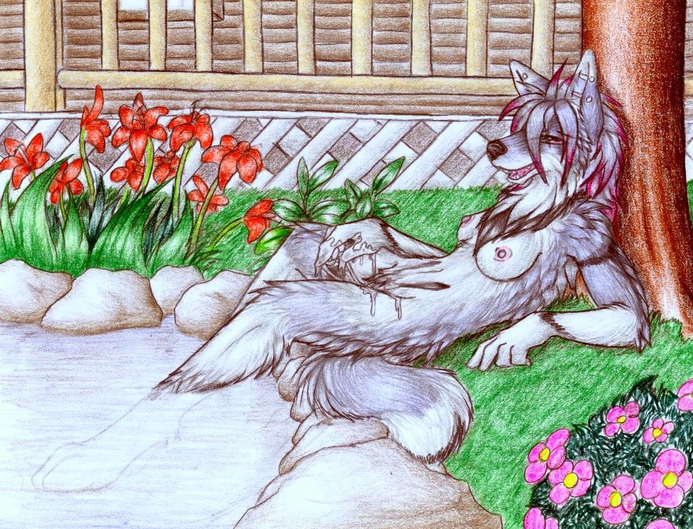 Furry art collection 2017 part 1 page 6 full