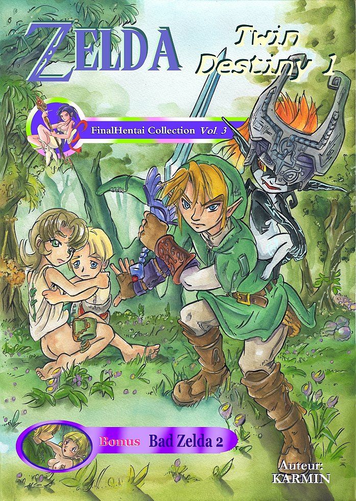 Zelda Twin Destiny page 1 full