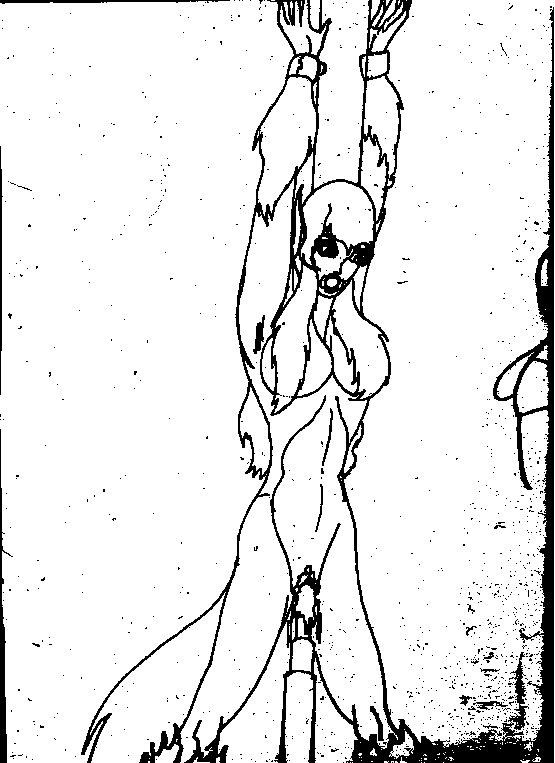 Raw images of all Books and Comic's. page 5 full