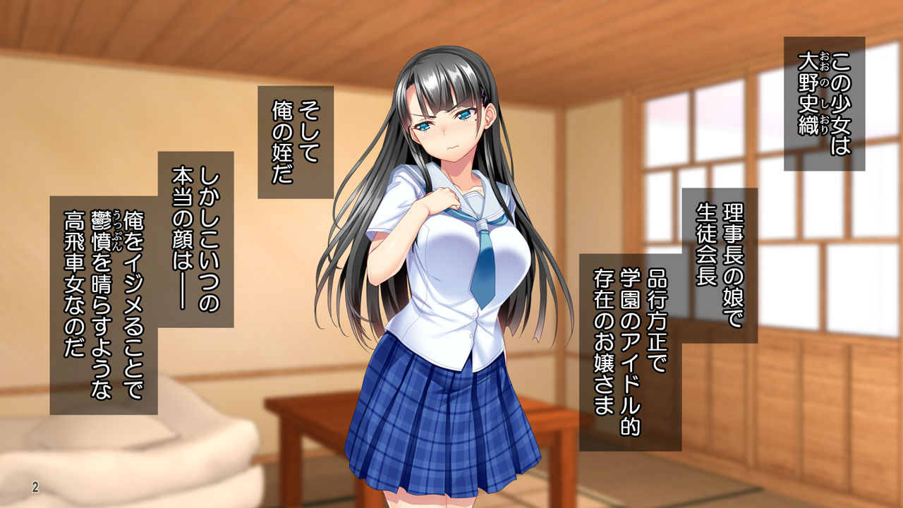 Ojou-sama Choukyou! Takabisha Onna ga Youmuin Chinpo de Kairakuochi! page 3 full