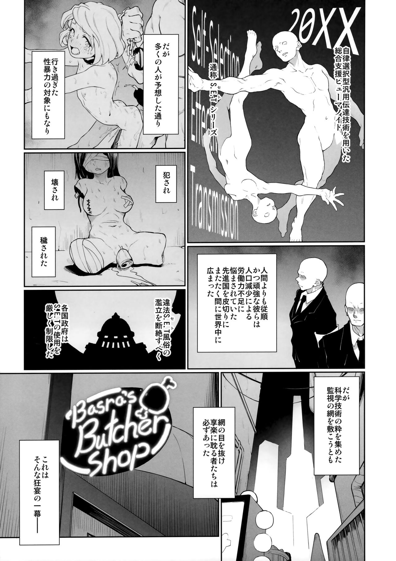 S.E.T page 2 full