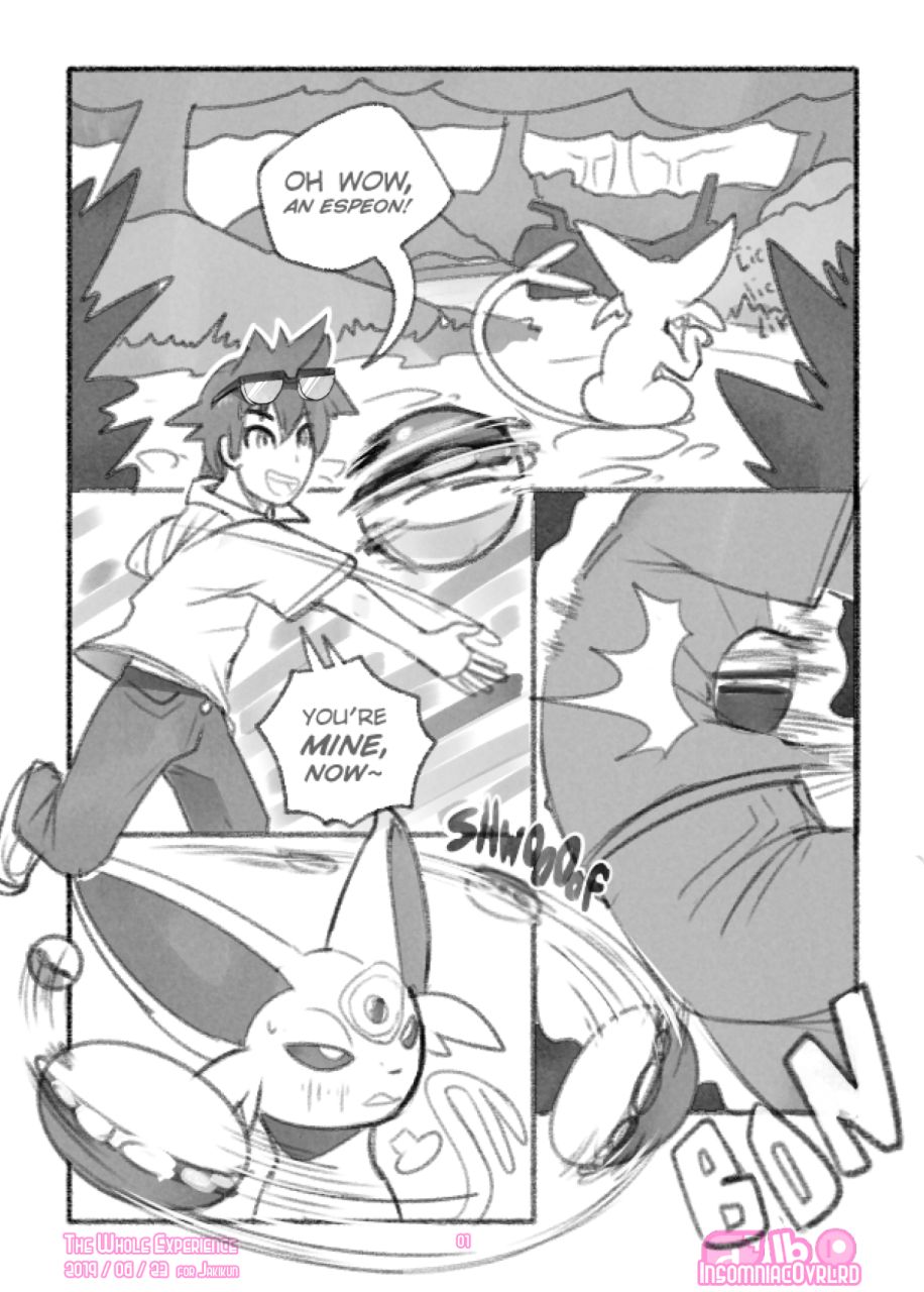 The Whole Experience by Insomniacovrlrd page 1 full