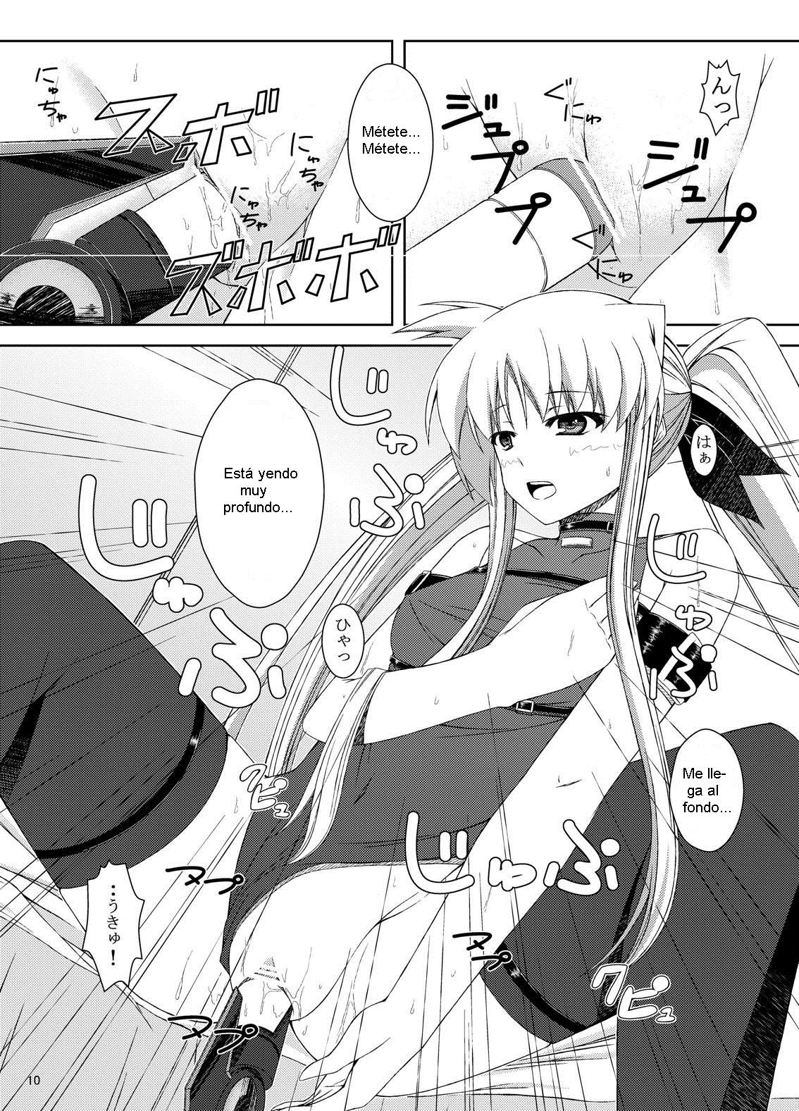 Hentai Fate-chan no Nikka page 10 full