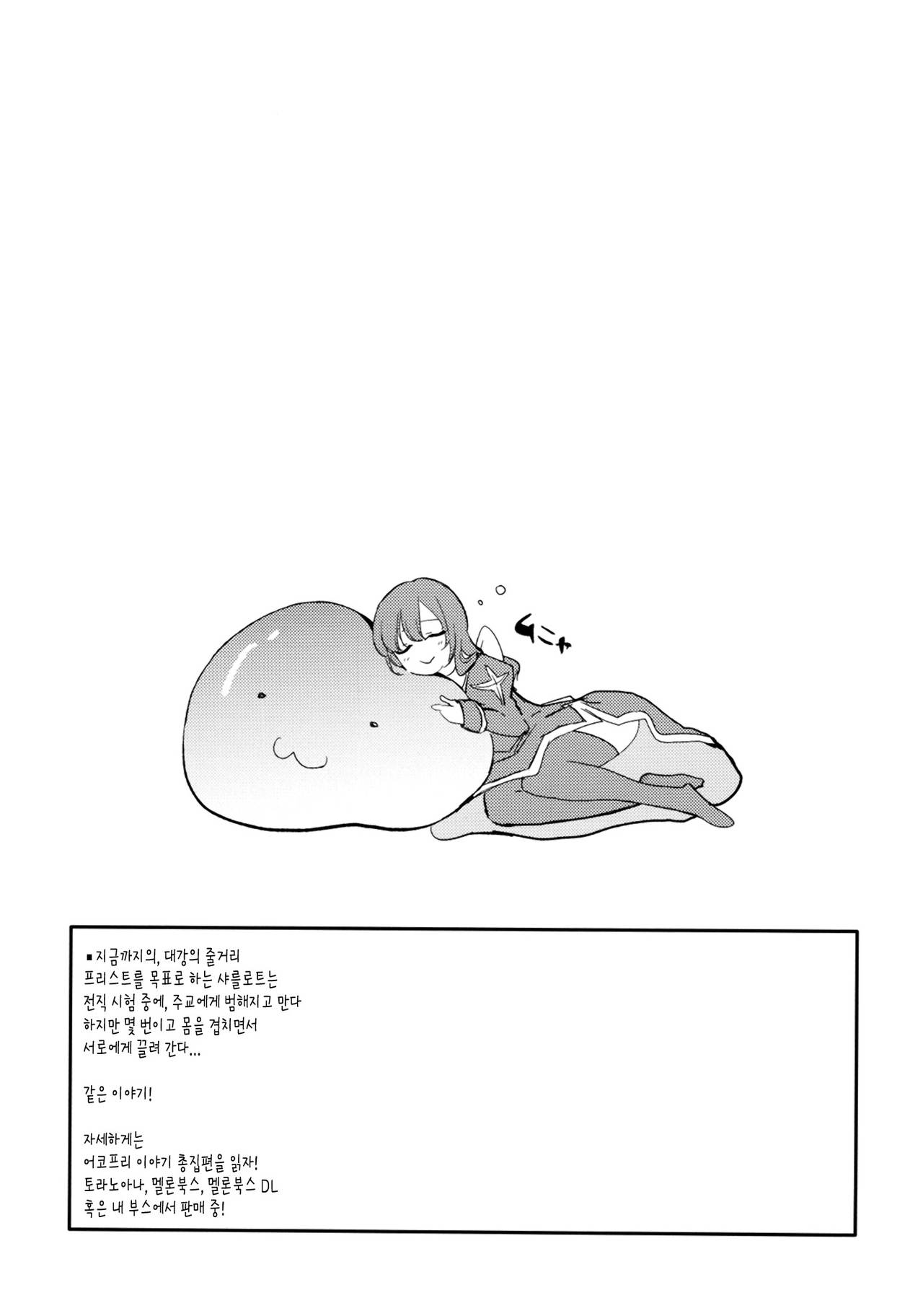 AcoPri Monogatari IV ~Sonogo~ page 3 full