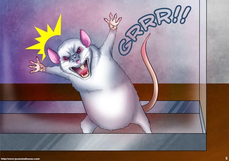 Green Curiosity page 7 full