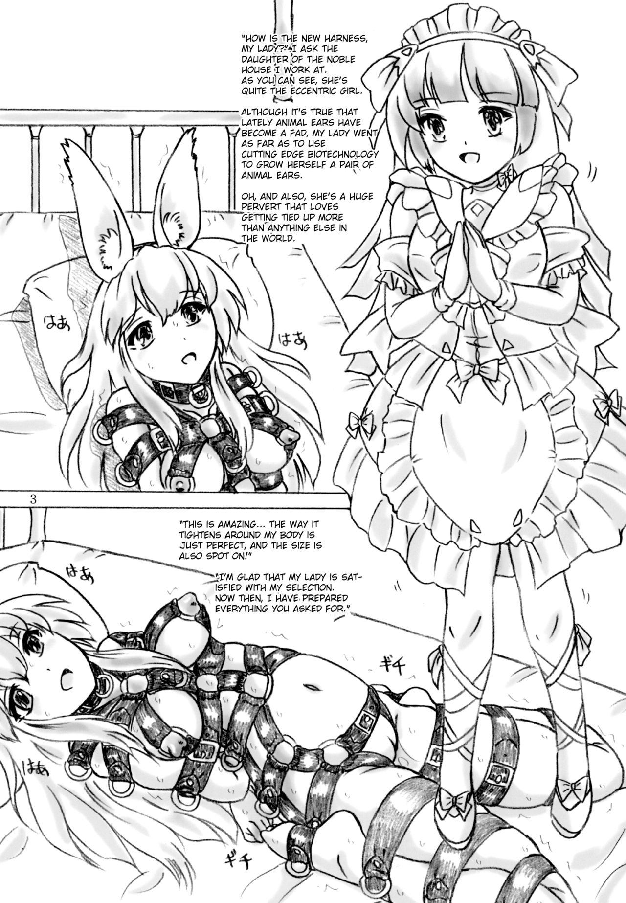 Hakusei Ojou-sama | Taxidermied Princess page 3 full