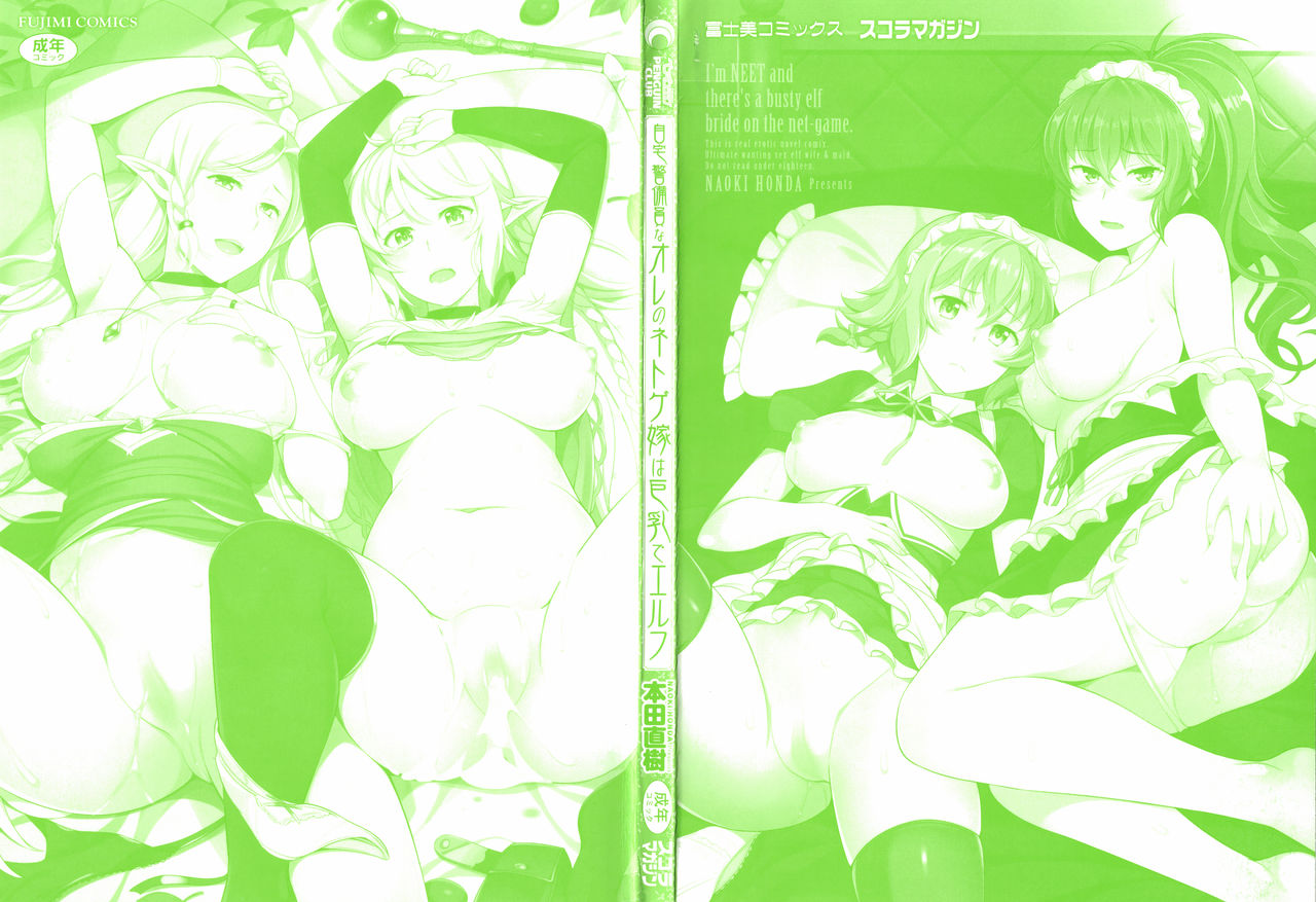 Jitaku Keibiin na Ore no Netoge Yome wa Kyonyuu de Elf page 3 full