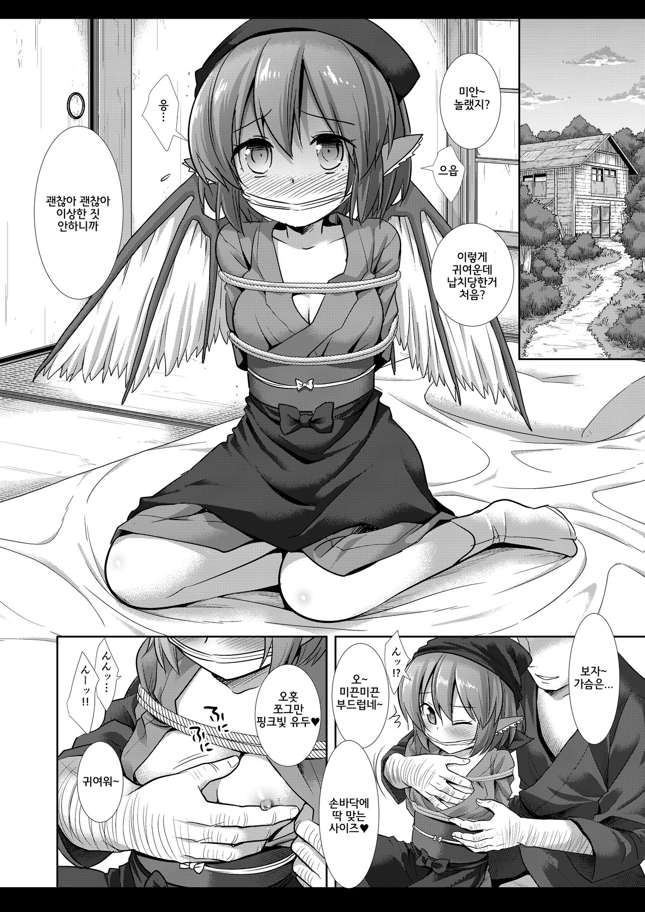 Touhou Ryoujoku 44 Mystia Lorelei | 동방능욕 44 미스티아・로렐라이 page 5 full
